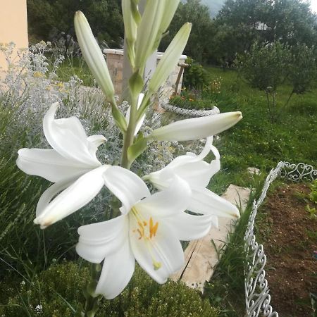 Castello Flower Apartment Kaštela 外观 照片
