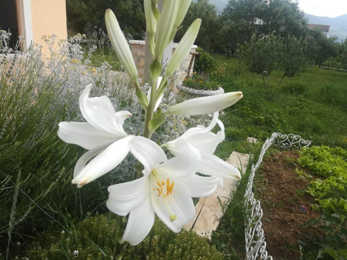 Castello Flower Apartment Kaštela 外观 照片