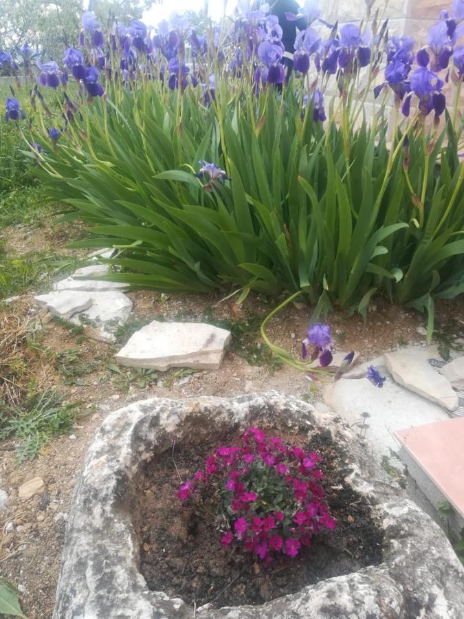 Castello Flower Apartment Kaštela 外观 照片